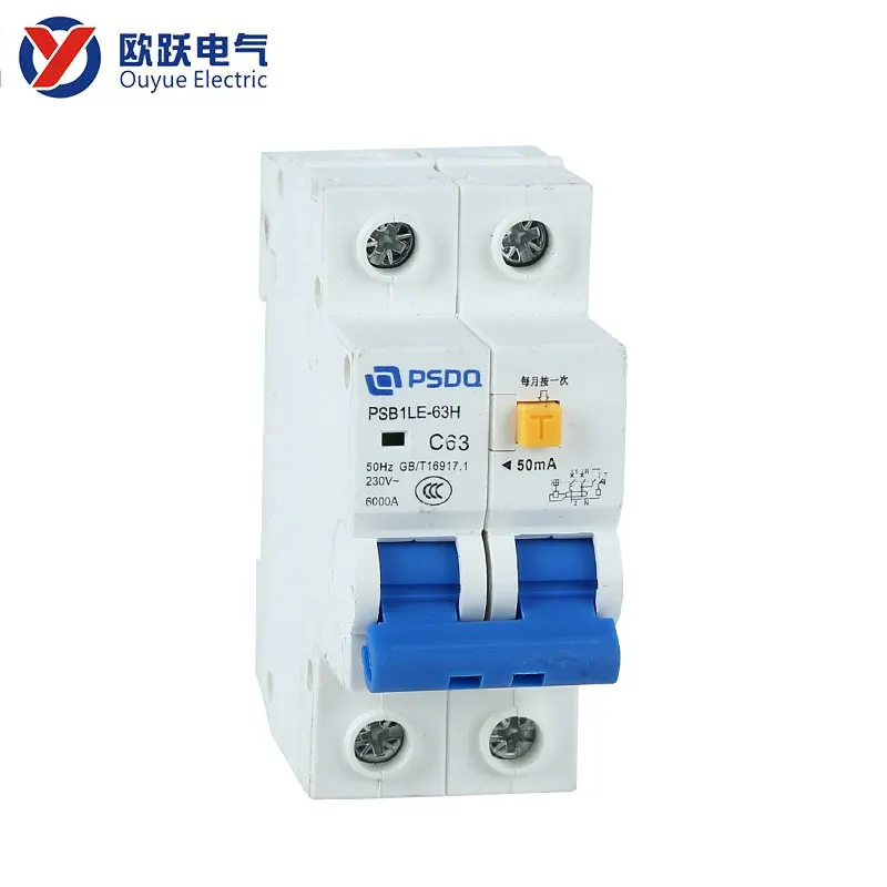 DZ40 2Pole Earth Leakage Circuit Breaker